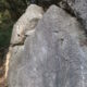006 Via Ferrata Tossa Venes Rojalons Rojals 2021 Rocjumper