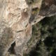 036 Via Ferrata Tossa Venes Rojalons Rojals 2021 Rocjumper