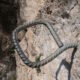 047 Via Ferrata Tossa Venes Rojalons Rojals 2021 Rocjumper