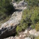 102 Via Ferrata Tossa Venes Rojalons Rojals 2021 Rocjumper