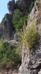 Puente de Tablones - Vía Ferrata Penyaflor - Els Reguers - RocJumper