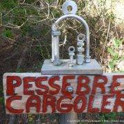 27-torrent-tortuguer-pessebre-cargoler