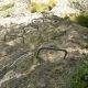 via-ferrata-creu-noral-06-vertical