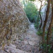 02-escalas-de-jacob-magdalena-superior-montserrat