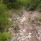 02-via-facilonga-camping-montserrat-barcelona-sendero-subida