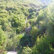 04-canal-17f-puig-cendros-sant-salvador-de-les-espases-canal-badisses-romantiques