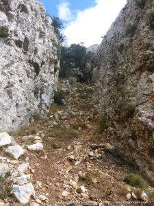 37-cresta-seda-mont-redon-pas-siscos-cavall-bernat-llaberia