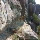 37-via-ferrata-cingle-del-resistent-turo-marques