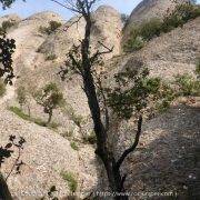 14-canal-de-la-figuereta-desde-abajo