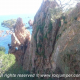 53 Via Ferrata Cala Moli Escalfer Sant Feliu Guixols Rocjumper