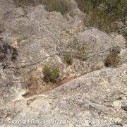 01-via-ferrata-los-teletubbies-olmo-soler-corca-lleida