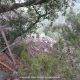 34-via-ferrata-grau-de-boquers-01-