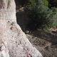 90-barranc-tres-en-ratlla-canal-roja-