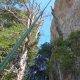 35-via-normal-salamandra-ecos-montserrat