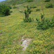 Pradera retorno Vía Ferrata Poi d'Unha