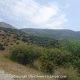 20 Camino Mozarabe Malaga 5 Lucena Baena