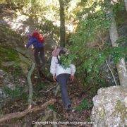 Vía Blava Miranda del Pas de Príncep - Sendero por el bosque