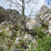 Vía Itzi Les Agudes Montseny Sendero Inicio R0