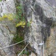 Vía Ferrata Torre de Cledes puente nepalí