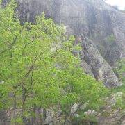 Vía Ferrata Torre de Cledes rampa