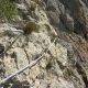 14 Via Ferrata Les Roies De Pinyana Castillonroy Rocjumper