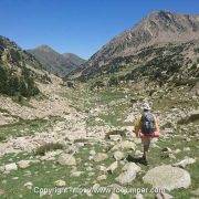 Sendero entre piedras