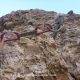 37 Via Normal Cavall Bernat Montserrat Rocjumper