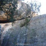 Vía ferrata Torreta dels Moros Fuentespalda Flanqueo Árbol