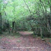 Gorgues de Gorners - Escletxes de Freixeneda - Salt de Sallent - Pista Bosque