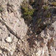 Vía Ferrata Cuevas de Cañart - Flecha blanca