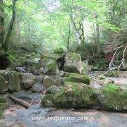 Gorgues de Gorners - Escletxes de Freixeneda - Salt de Sallent - Bloques Río