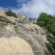 Vía Ferrata Cuevas de Cañart - Tramo 1 flanqueo arbol