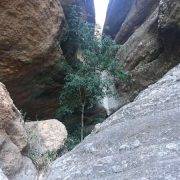 Vía Ferrata Canal del Palomo - Arbolito