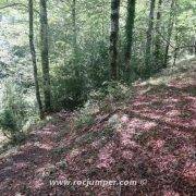 Gorgues de Gorners - Escletxes de Freixeneda - Salt de Sallent - bajada