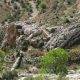 52 Via Ferrata Cuevas Canart Rocjumper