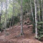 Gorgues de Gorners - Escletxes de Freixeneda - Salt de Sallent - Bajada