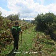 Gorgues de Gorners - Escletxes de Freixeneda - Salt de Sallent - Sendero helechos