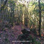 Cresta del Ferran Sendero de Vuelta Bonito Bosque