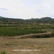 Punta Rodona (100 Cims) - Puig Cavaller (100 Cims) Campos de Cultivo