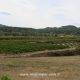 04 Punta Redona Puig Cavaller Gandesa Rocjumper