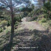 Sendero de Subina al loma Roc de Galliner