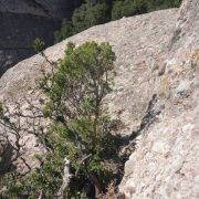 Vía Sargantanes Gorro Marinero Montserrat Descenso Bordear hacia derecha