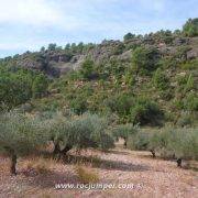 Vía Ferrata del Peco - Campo olivos aproximación