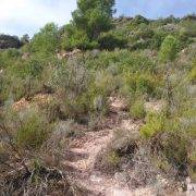 Vía Ferrata del Peco - Aproximación sendero