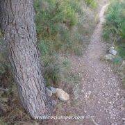 Desvío hito de piedra y árbol - Vía Ferrata Vall d'Uixó Mondragó
