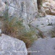 Presas - Vía Ferrata Vall d'Uixó Mondragó