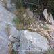 22 Via Ferrata Vall Uixo Rocjumper