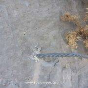 Remate cable de vida de Flanqueo - Vía Ferrata Vall d'Uixó Mondragó
