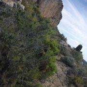 Vía Ferrata Roca Figueral Sendero retorno