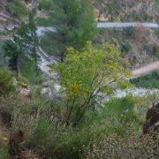 Vía Ferrata La Muela Castillo Villahermosa del Río, Castellón vuelta al parking